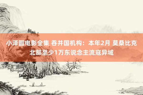 小泽圆电影全集 吞并国机构：本年2月 莫桑比克北部至少1万东说念主流寇异域