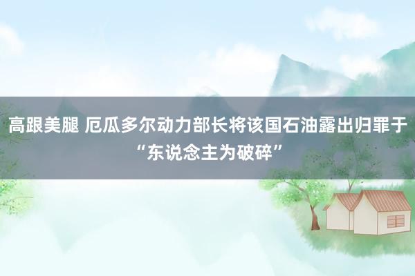 高跟美腿 厄瓜多尔动力部长将该国石油露出归罪于“东说念主为破碎”
