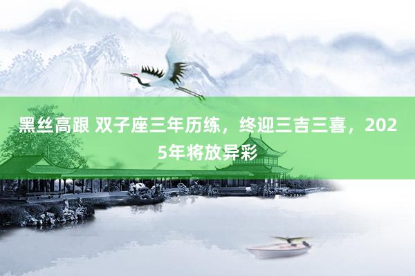 黑丝高跟 双子座三年历练，终迎三吉三喜，2025年将放异彩