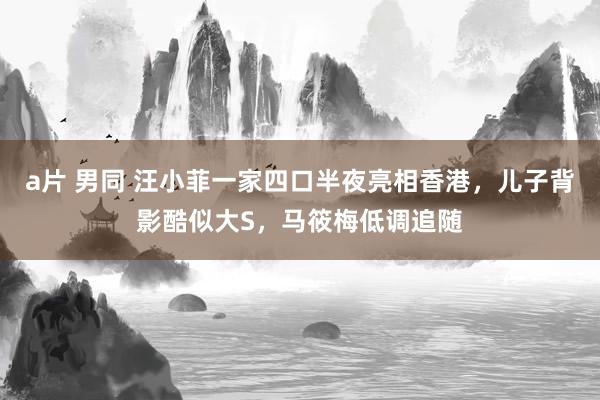 a片 男同 汪小菲一家四口半夜亮相香港，儿子背影酷似大S，马筱梅低调追随