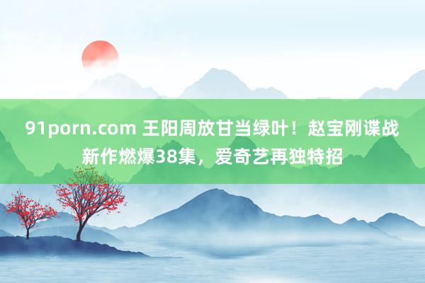 91porn.com 王阳周放甘当绿叶！赵宝刚谍战新作燃爆38集，爱奇艺再独特招