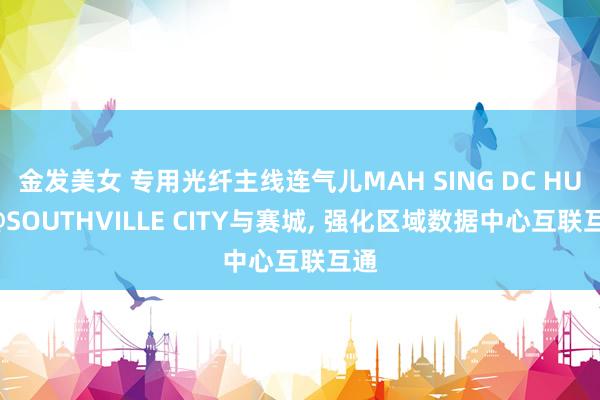 金发美女 专用光纤主线连气儿MAH SING DC HUB@SOUTHVILLE CITY与赛城, 强化区域数据中心互联互通