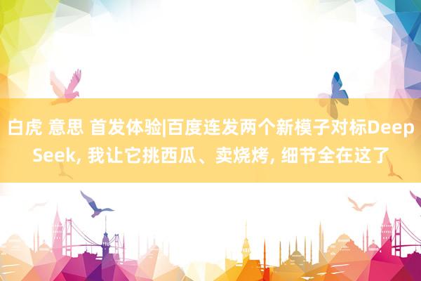 白虎 意思 首发体验|百度连发两个新模子对标DeepSeek, 我让它挑西瓜、卖烧烤, 细节全在这了