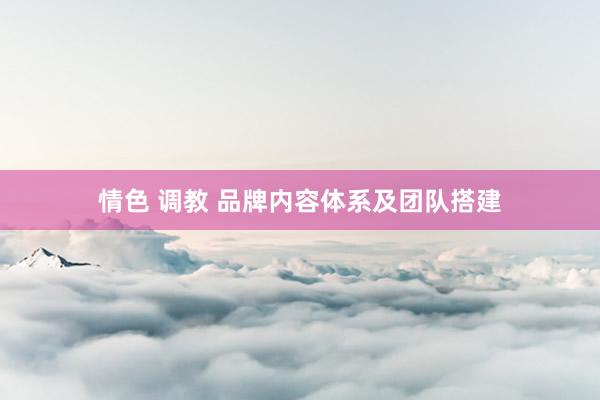 情色 调教 品牌内容体系及团队搭建