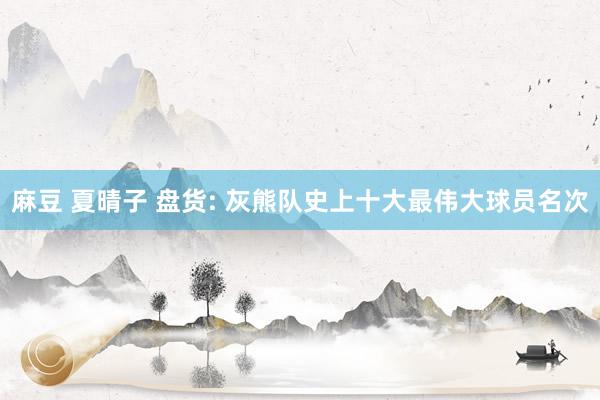 麻豆 夏晴子 盘货: 灰熊队史上十大最伟大球员名次
