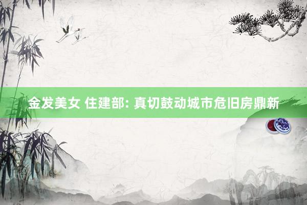 金发美女 住建部: 真切鼓动城市危旧房鼎新