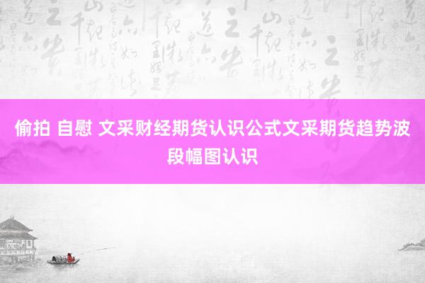 偷拍 自慰 文采财经期货认识公式文采期货趋势波段幅图认识