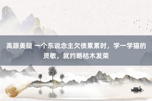 高跟美腿 一个东说念主欠债累累时，学一学猫的灵敏，就约略枯木发荣