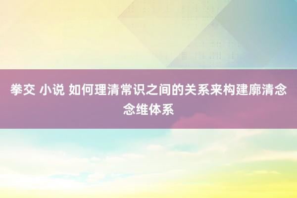 拳交 小说 如何理清常识之间的关系来构建廓清念念维体系