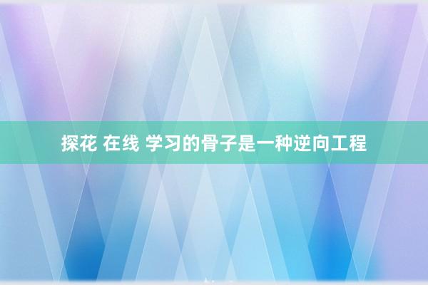 探花 在线 学习的骨子是一种逆向工程